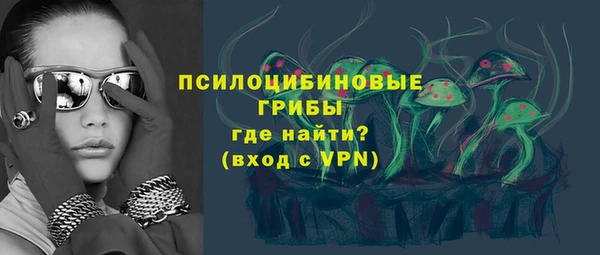 ПСИЛОЦИБИНОВЫЕ ГРИБЫ Навашино