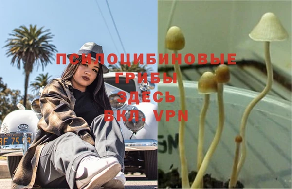 амфетамин Надым