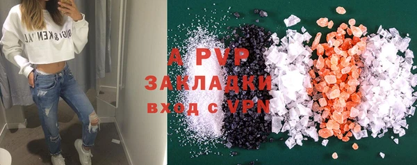 гашик Михайловск